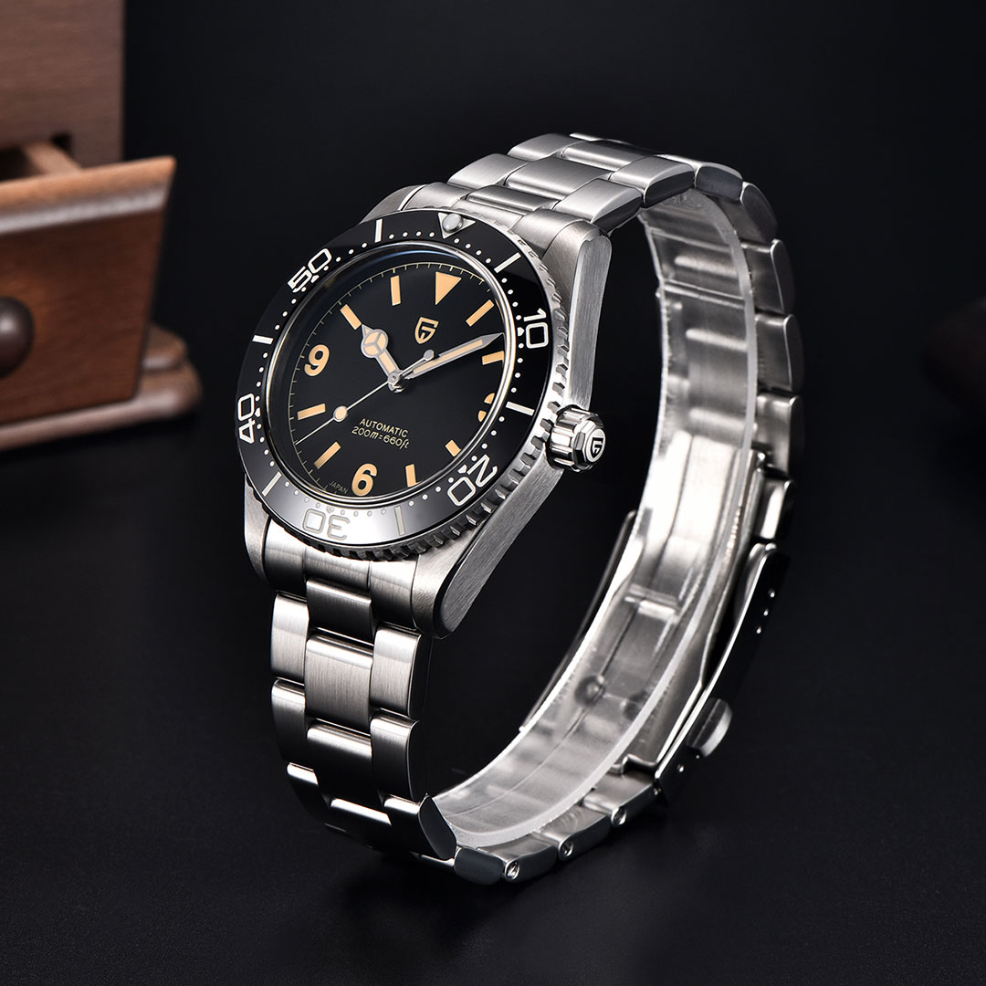 PAGANI DESIGN PD-1755 Men's Automatic Watches 40mm Vintage