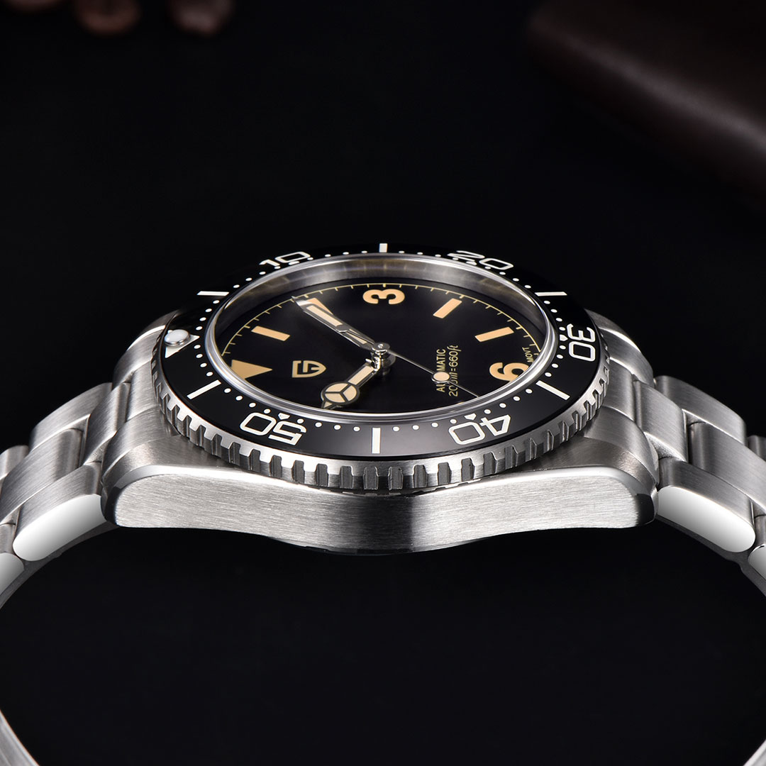 PAGANI DESIGN PD-1755 Men's Automatic Watches 40mm Vintage